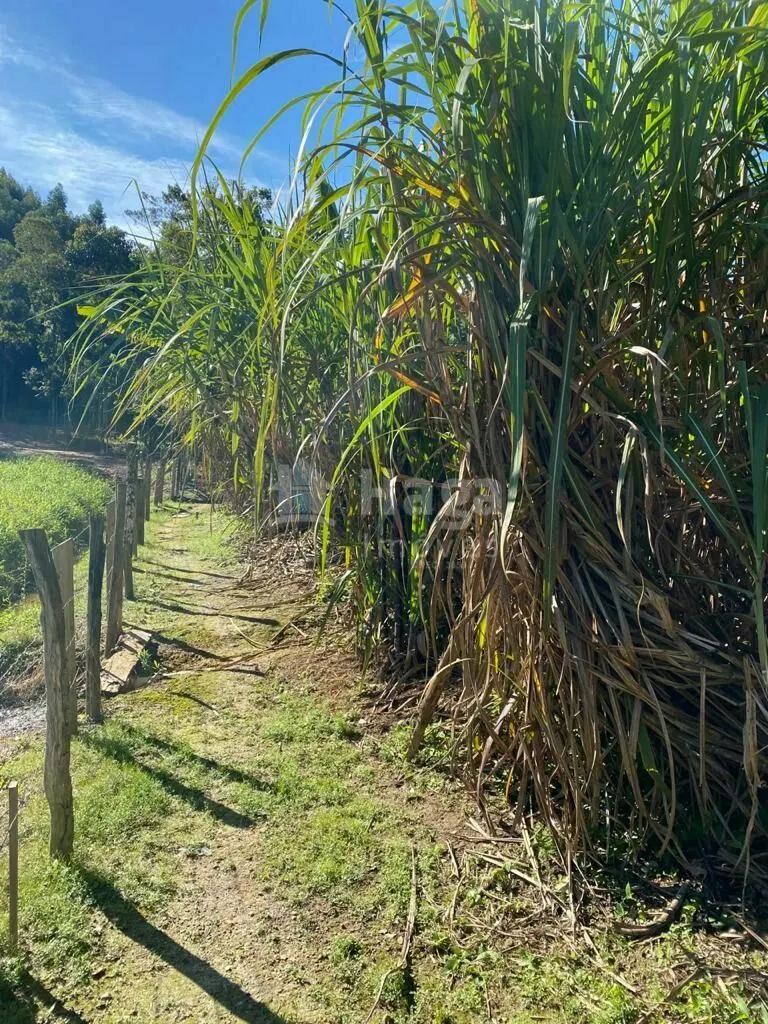 Chácara à venda de 1.800 m² em Canelinha, SC, Brasil