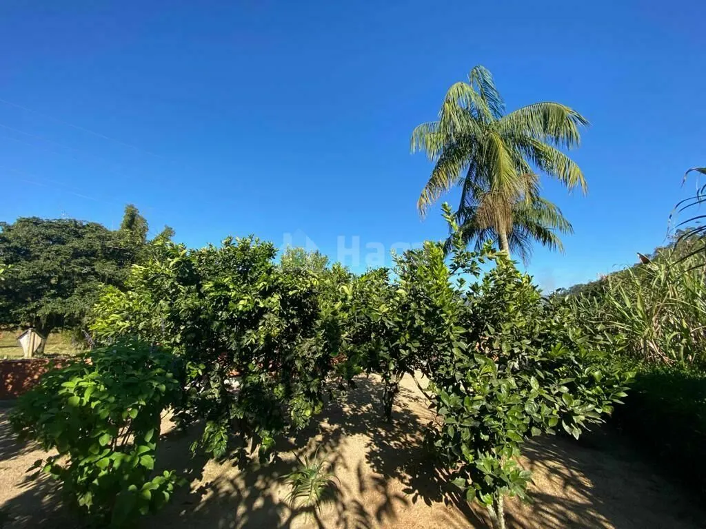 Chácara à venda de 1.800 m² em Canelinha, SC, Brasil