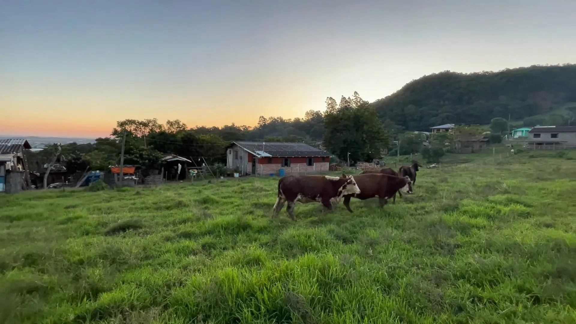 Terreno à venda de 9.000 m² em Santo Antônio da Patrulha, RS, Brasil