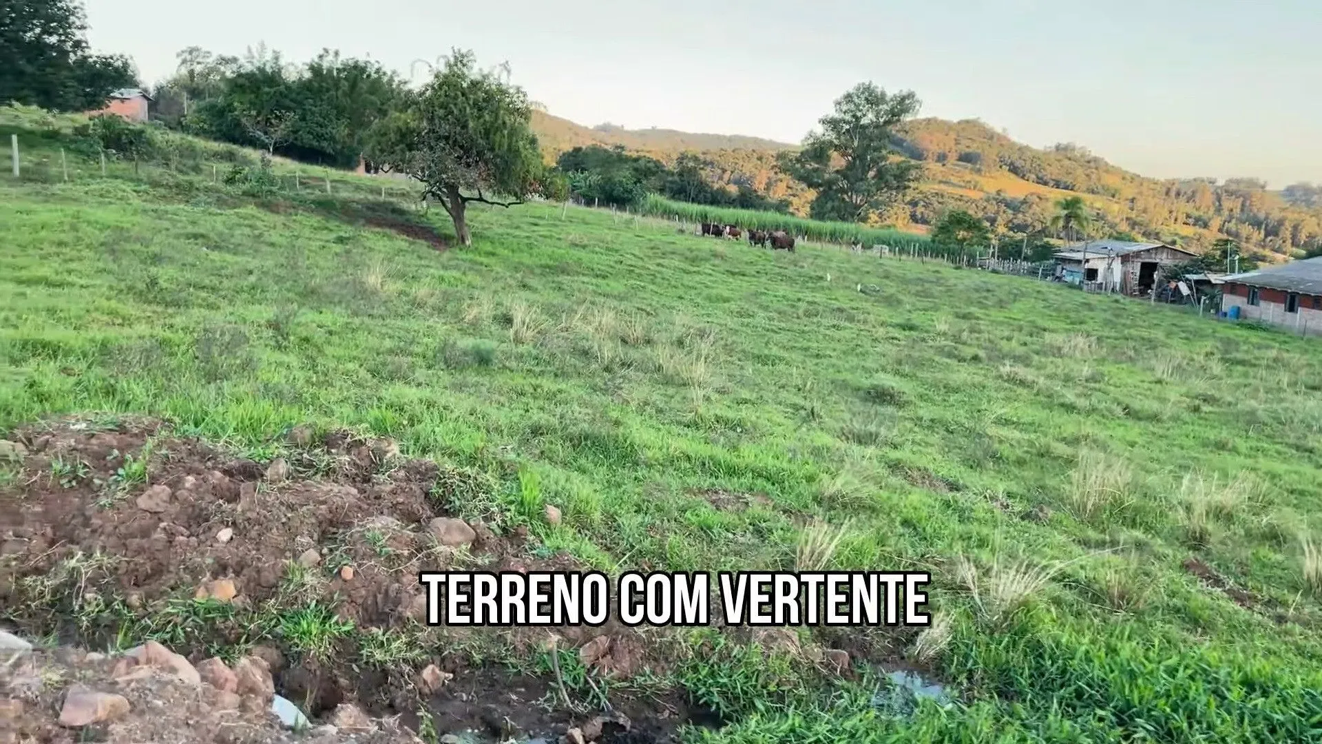 Terreno à venda de 9.000 m² em Santo Antônio da Patrulha, RS, Brasil