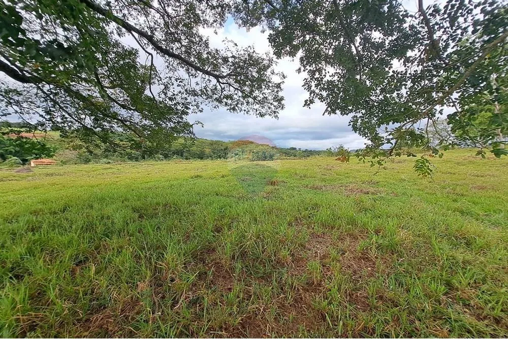 Fazenda à venda de 650 ha em Cajuru, SP, Brasil
