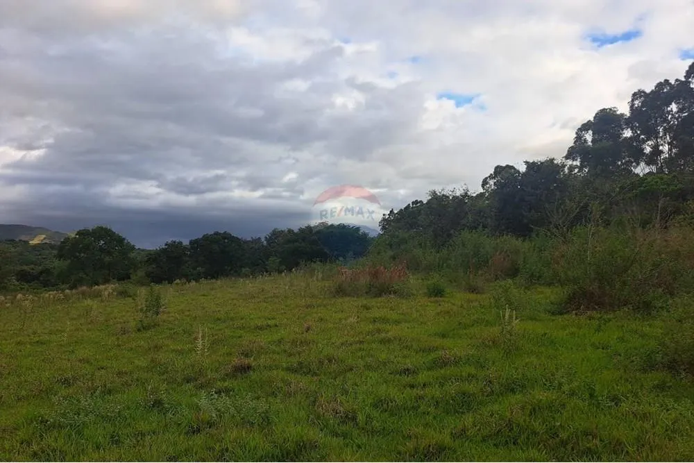 Fazenda à venda de 650 ha em Cajuru, SP, Brasil