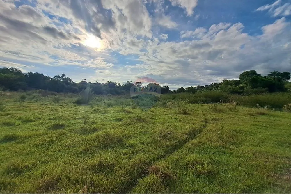 Fazenda à venda de 650 ha em Cajuru, SP, Brasil