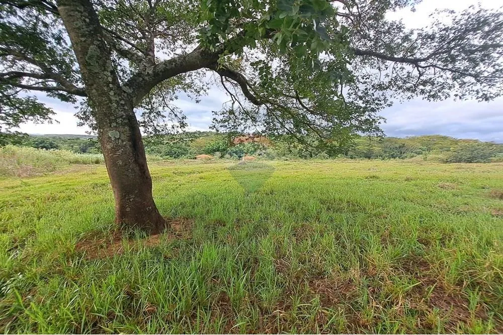 Fazenda à venda de 650 ha em Cajuru, SP, Brasil