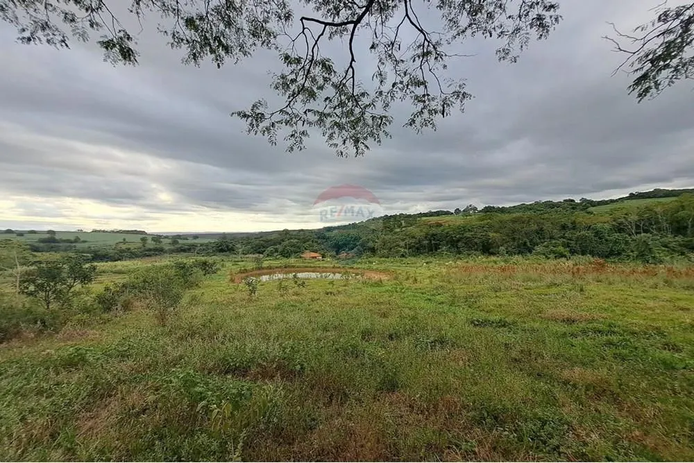 Fazenda à venda de 650 ha em Cajuru, SP, Brasil