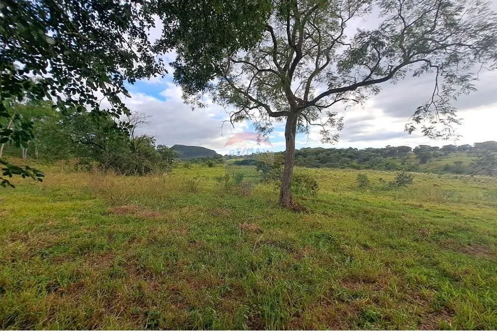 Fazenda à venda de 650 ha em Cajuru, SP, Brasil