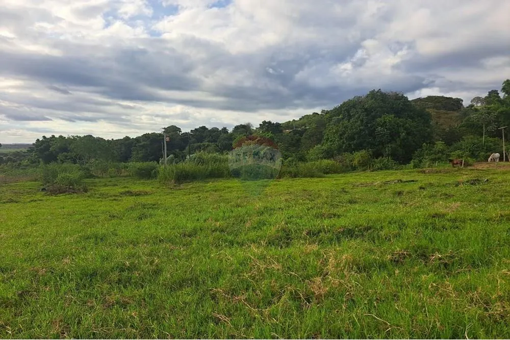 Fazenda à venda de 650 ha em Cajuru, SP, Brasil