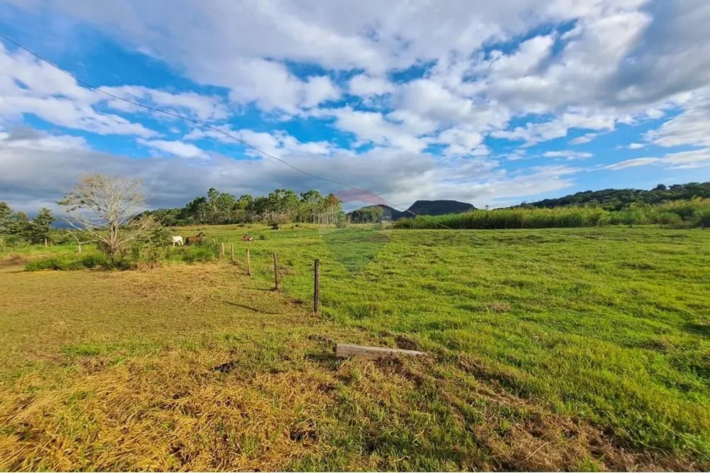 Fazenda à venda de 650 ha em Cajuru, SP, Brasil