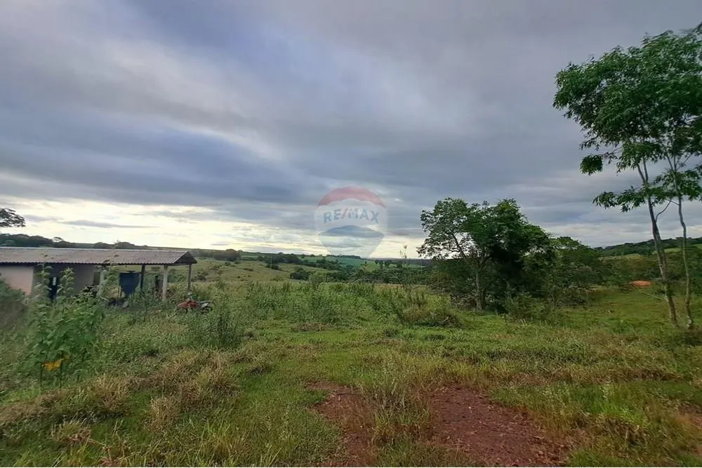 Fazenda à venda de 650 ha em Cajuru, SP, Brasil