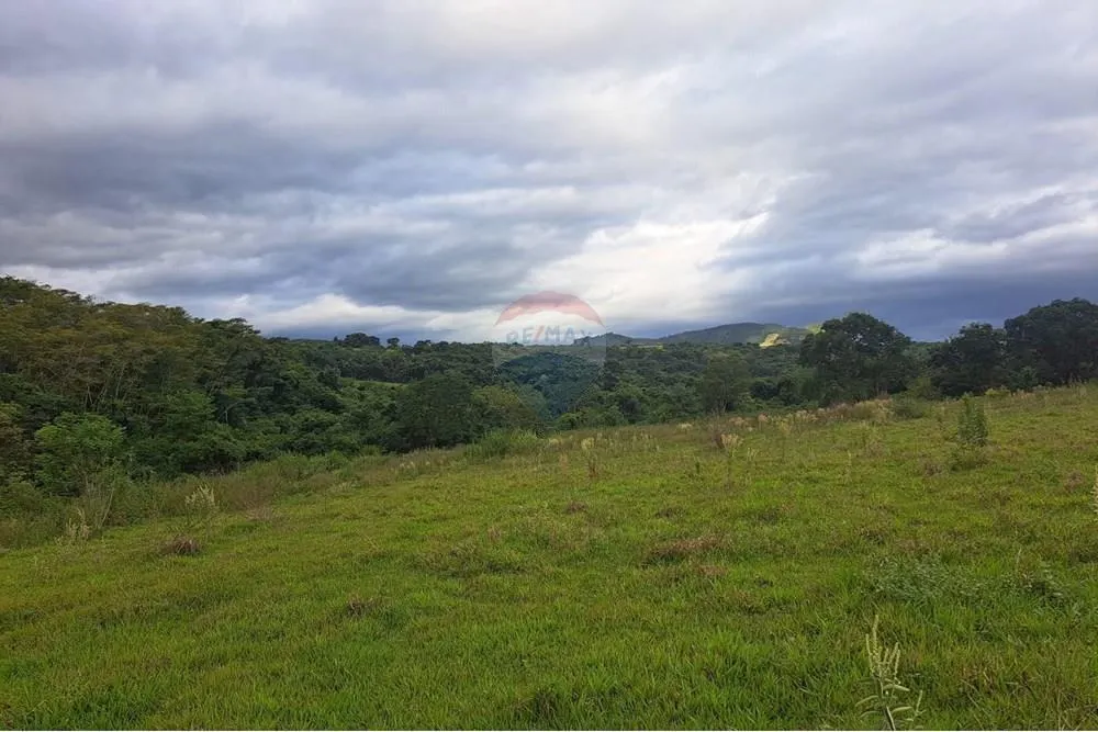 Fazenda à venda de 650 ha em Cajuru, SP, Brasil