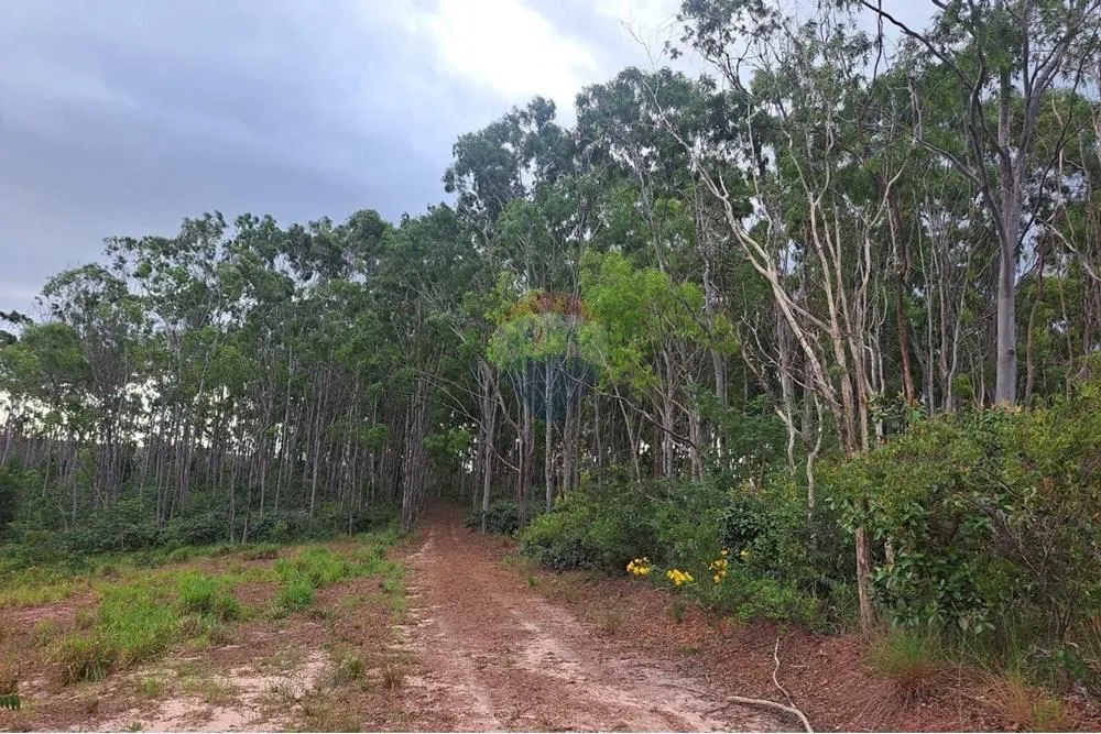 Fazenda à venda de 650 ha em Cajuru, SP, Brasil
