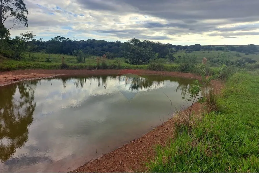 Fazenda à venda de 650 ha em Cajuru, SP, Brasil