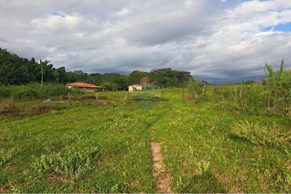 Fazenda à venda de 650 ha em Cajuru, SP, Brasil