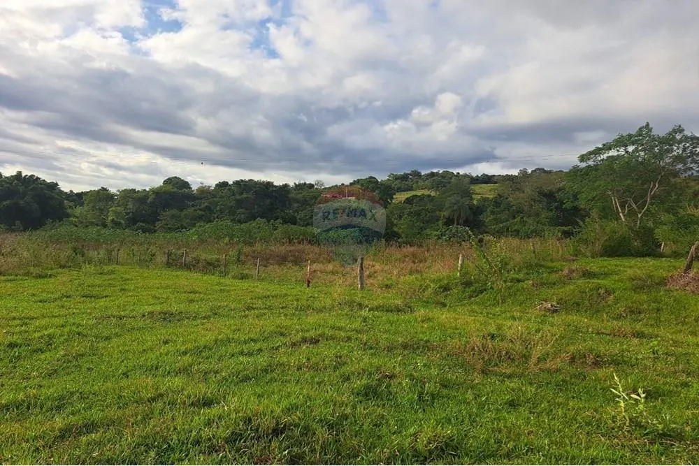 Fazenda à venda de 650 ha em Cajuru, SP, Brasil