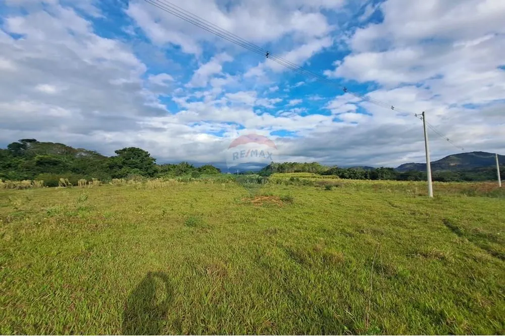 Fazenda à venda de 650 ha em Cajuru, SP, Brasil