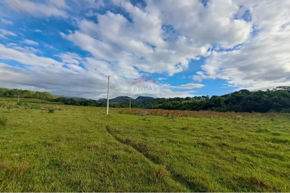 Fazenda à venda de 650 ha em Cajuru, SP, Brasil