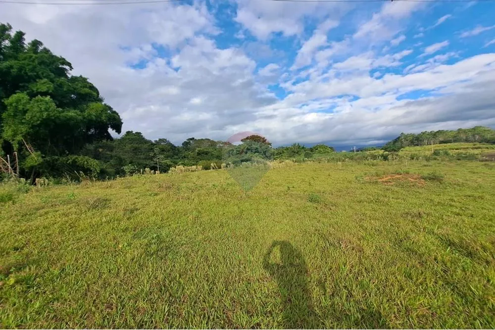 Fazenda à venda de 650 ha em Cajuru, SP, Brasil