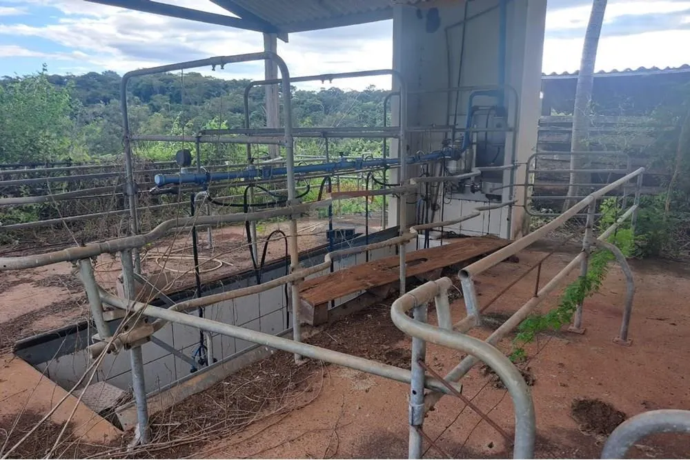 Fazenda à venda de 650 ha em Cajuru, SP, Brasil