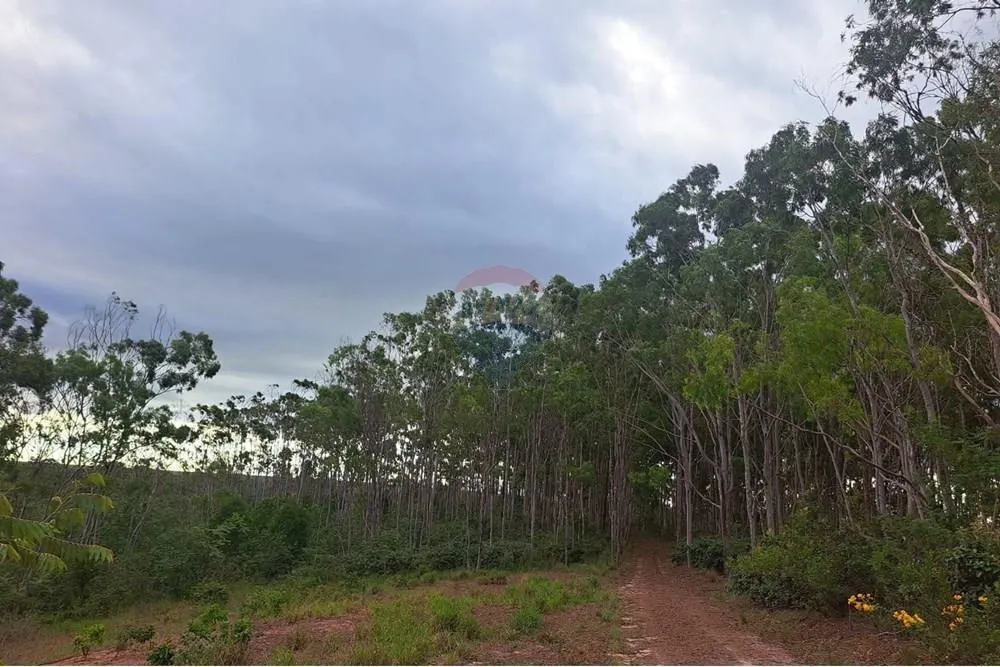 Fazenda à venda de 650 ha em Cajuru, SP, Brasil