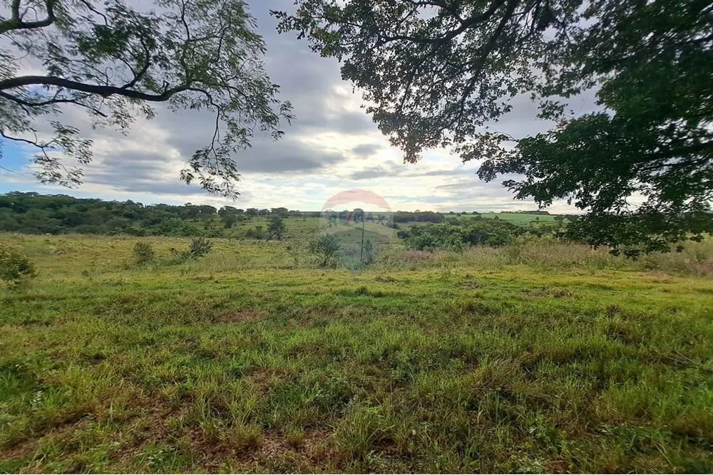 Fazenda à venda de 650 ha em Cajuru, SP, Brasil