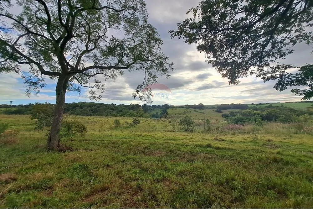 Fazenda à venda de 650 ha em Cajuru, SP, Brasil