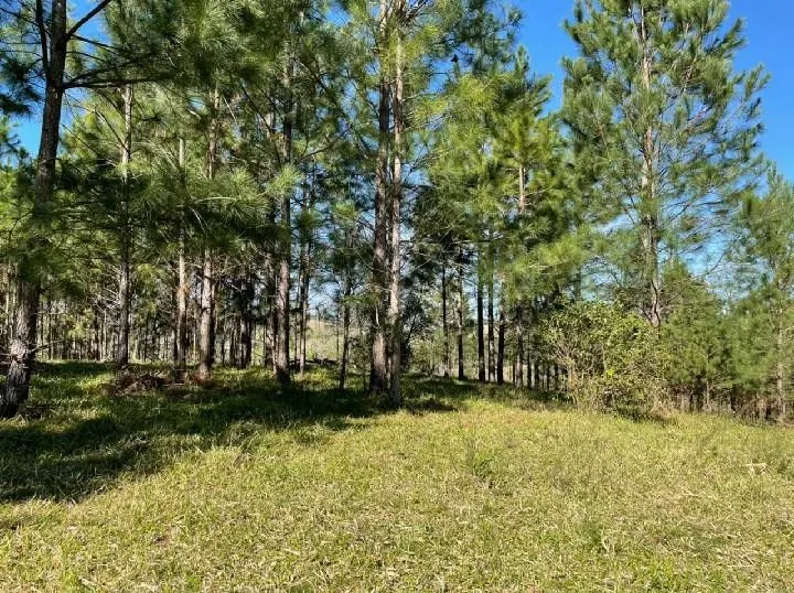 Small farm for sale of 10 acres in Santo Antônio da Patrulha, RS, Brazil