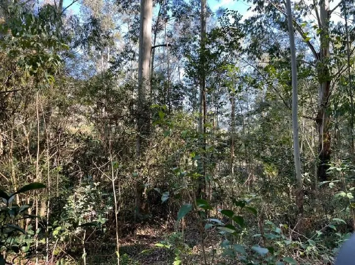 Small farm for sale of 10 acres in Santo Antônio da Patrulha, RS, Brazil