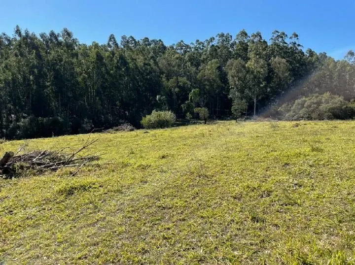 Small farm for sale of 10 acres in Santo Antônio da Patrulha, RS, Brazil