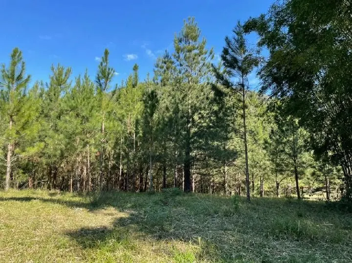 Small farm for sale of 10 acres in Santo Antônio da Patrulha, RS, Brazil
