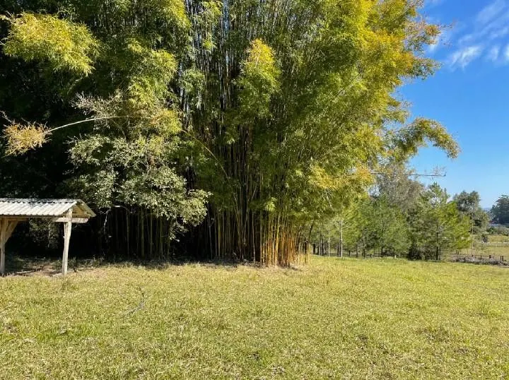 Small farm for sale of 10 acres in Santo Antônio da Patrulha, RS, Brazil