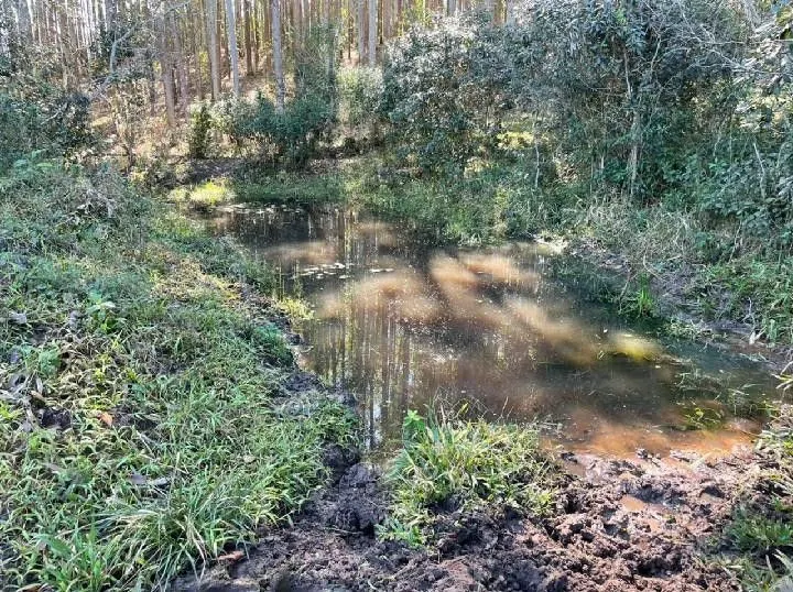 Small farm for sale of 10 acres in Santo Antônio da Patrulha, RS, Brazil