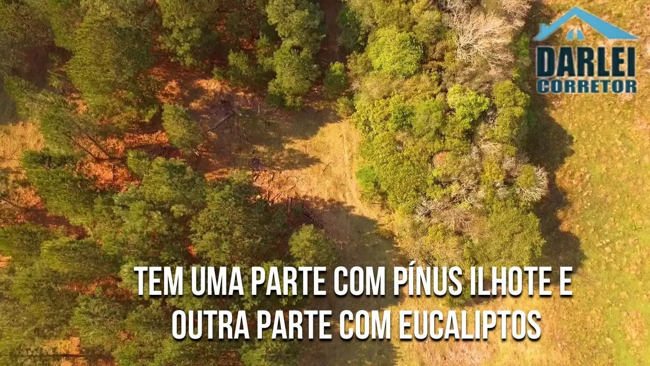 Small farm for sale of 10 acres in Santo Antônio da Patrulha, RS, Brazil
