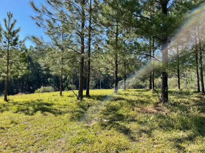 Small farm for sale of 10 acres in Santo Antônio da Patrulha, RS, Brazil