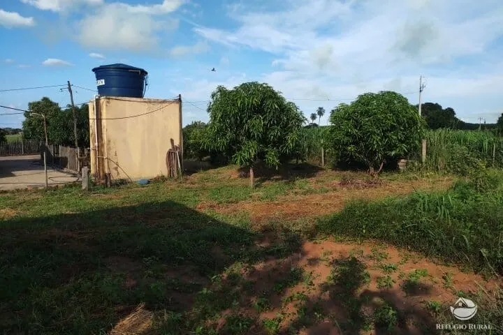 Small farm for sale of 7 acres in Fronteira, MG, Brazil