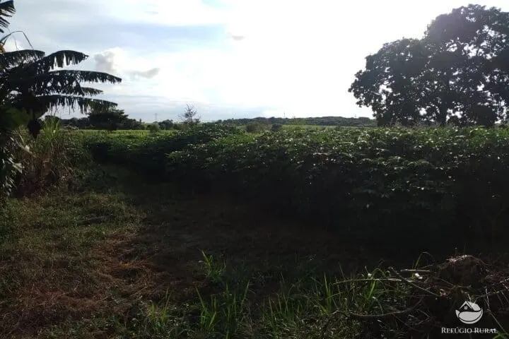 Small farm for sale of 7 acres in Fronteira, MG, Brazil