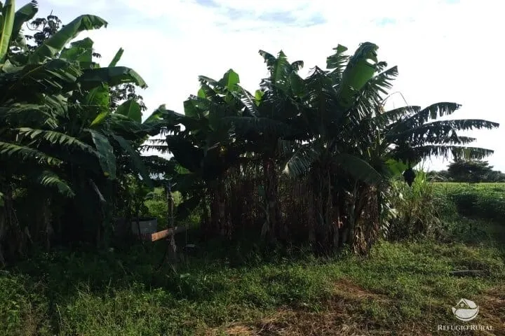 Small farm for sale of 7 acres in Fronteira, MG, Brazil