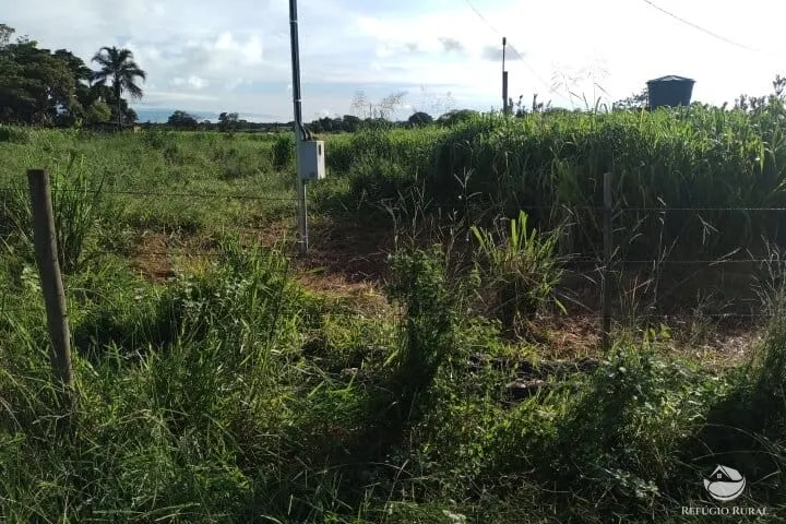 Small farm for sale of 7 acres in Fronteira, MG, Brazil