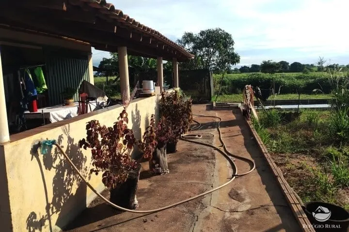 Small farm for sale of 7 acres in Fronteira, MG, Brazil