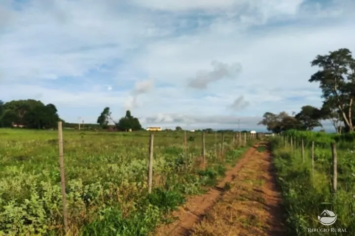Small farm for sale of 7 acres in Fronteira, MG, Brazil