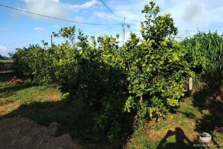 Small farm for sale of 7 acres in Fronteira, MG, Brazil