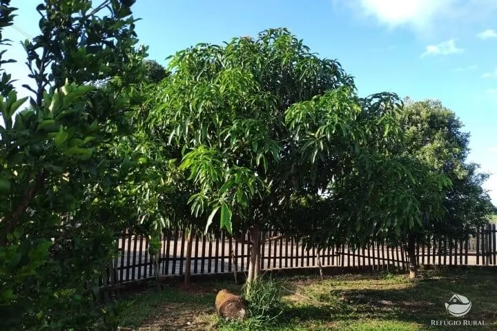 Small farm for sale of 7 acres in Fronteira, MG, Brazil