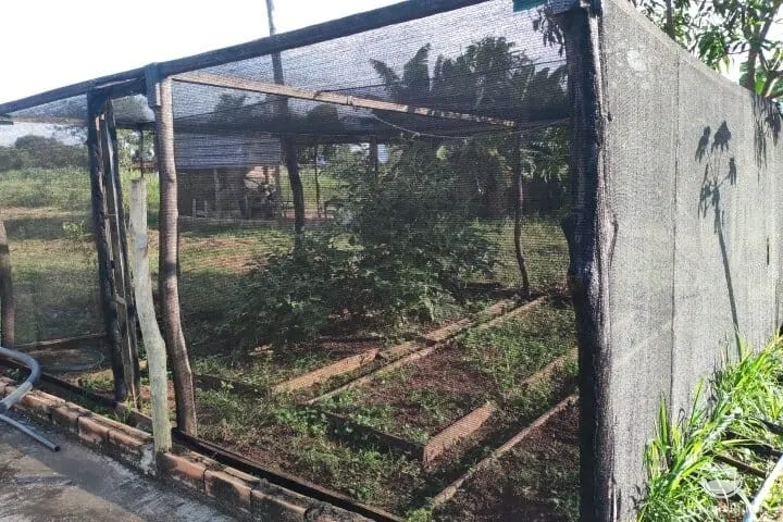 Small farm for sale of 7 acres in Fronteira, MG, Brazil