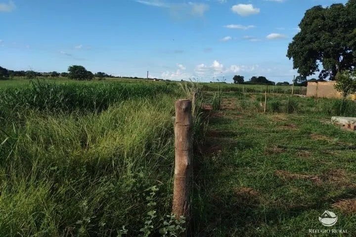 Small farm for sale of 7 acres in Fronteira, MG, Brazil