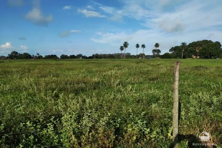 Small farm for sale of 7 acres in Fronteira, MG, Brazil