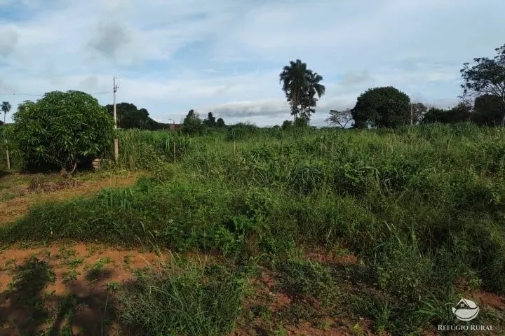 Small farm for sale of 7 acres in Fronteira, MG, Brazil