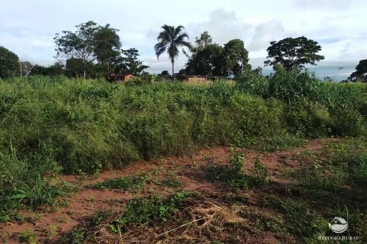 Small farm for sale of 7 acres in Fronteira, MG, Brazil