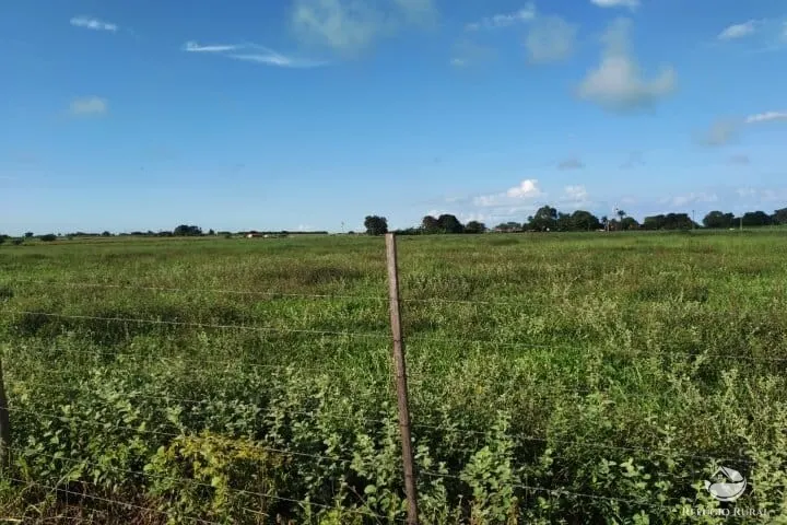 Small farm for sale of 7 acres in Fronteira, MG, Brazil