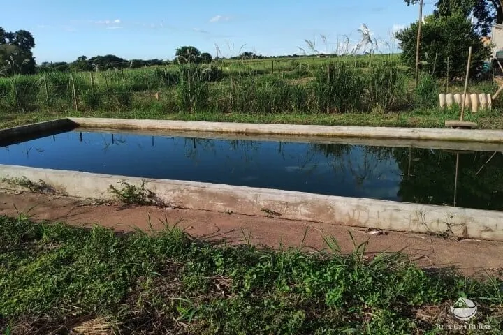 Small farm for sale of 7 acres in Fronteira, MG, Brazil