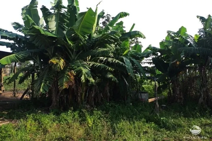Small farm for sale of 7 acres in Fronteira, MG, Brazil