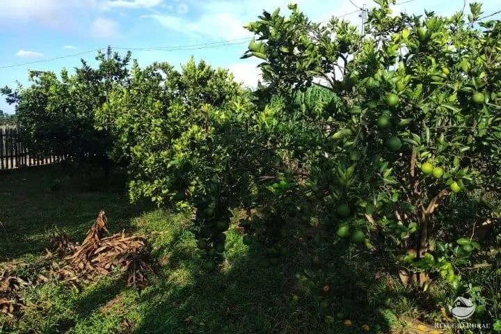 Small farm for sale of 7 acres in Fronteira, MG, Brazil